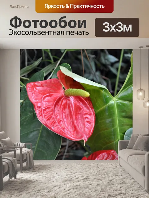 Фотообои Сад