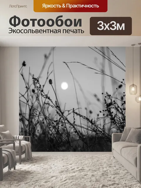 Фотообои Луна