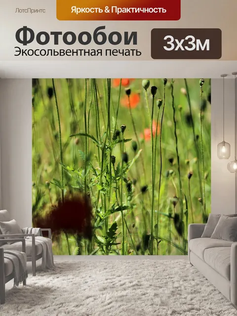 Фотообои Полевые цветы