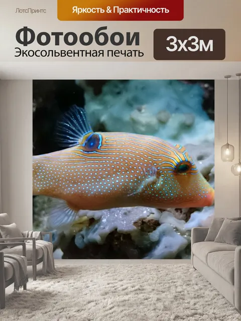 Фотообои Рыба