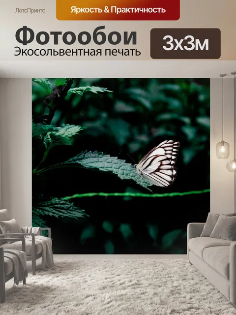 Фотообои Лес