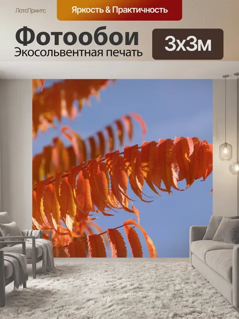 Фотообои Листья
