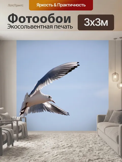 Фотообои Птица