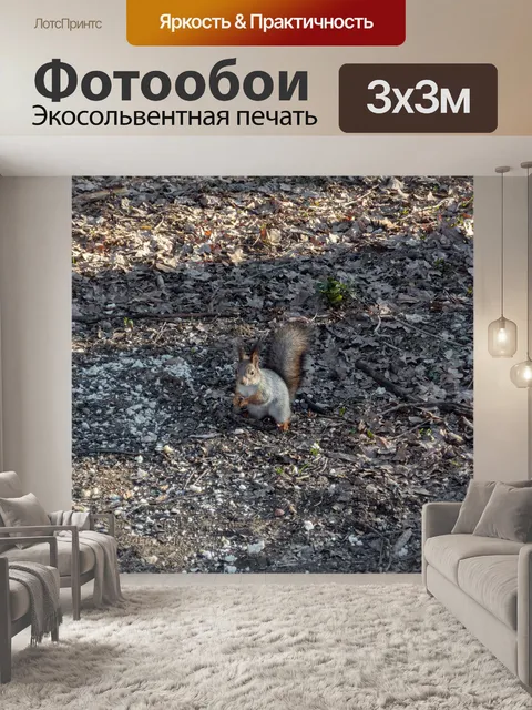 Фотообои Лес