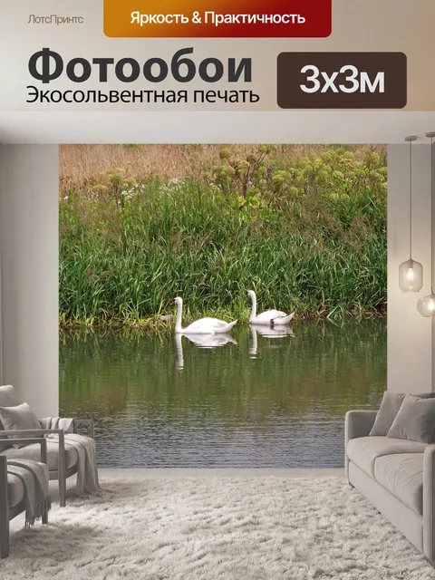 Фотообои Лебеди