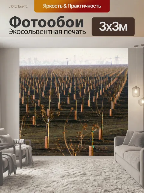 Фотообои Орхидея молодых деревьев