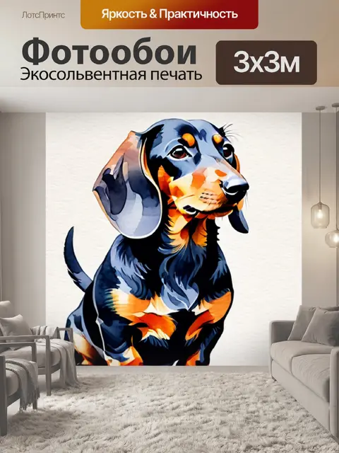 Фотообои собака такса