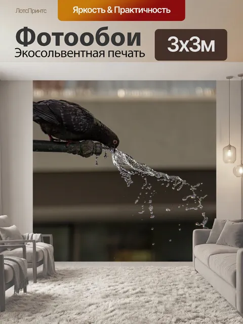 Фотообои Голубь