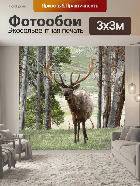 Фотообои Лось