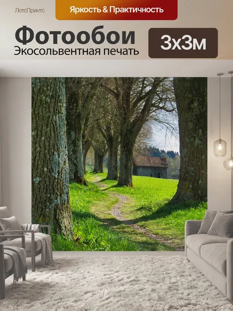 Фотообои Деревья