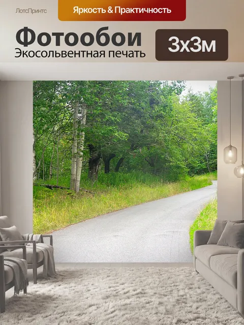 Фотообои Проселочная дорога