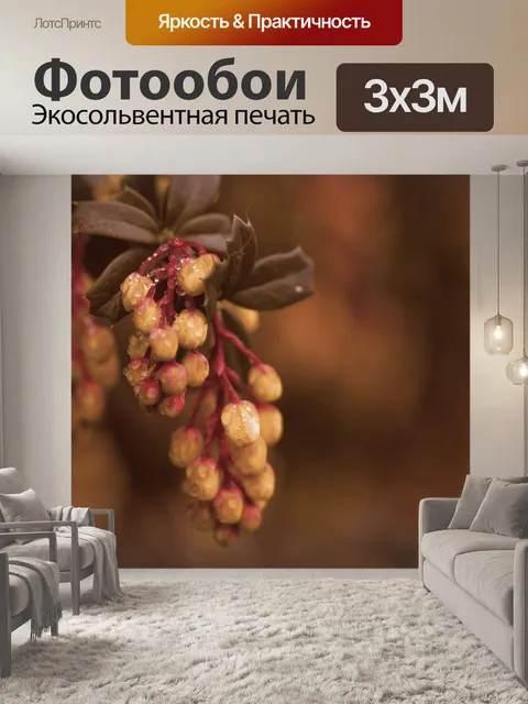 Фотообои Цветы