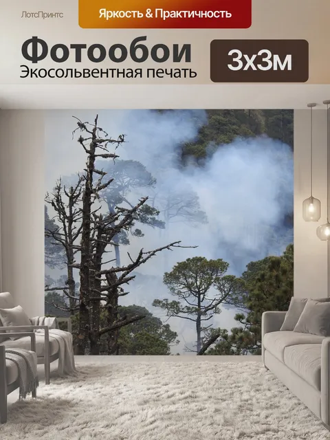 Фотообои Пожар