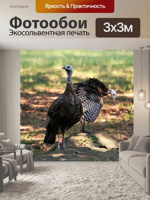 Фотообои Две Турции на скале