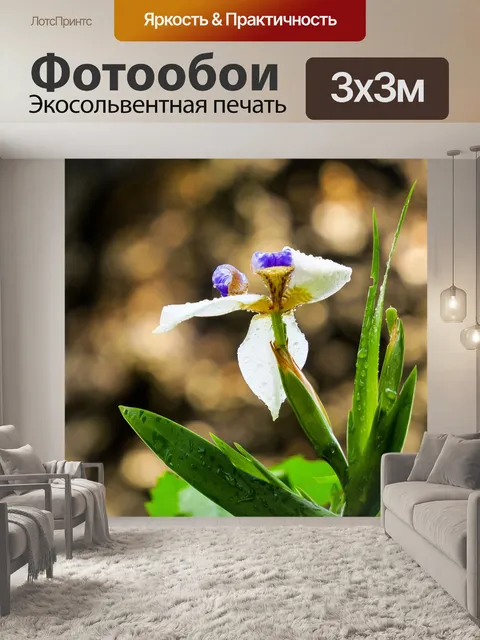 Фотообои Ирис