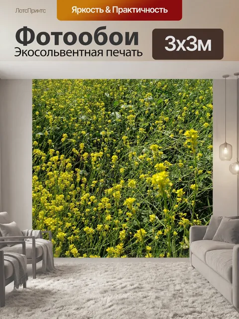 Фотообои Желтые цветы