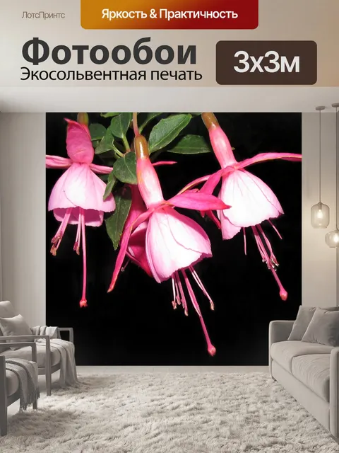 Фотообои Цветы