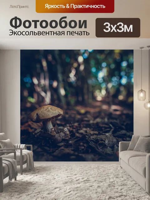 Фотообои Гриб