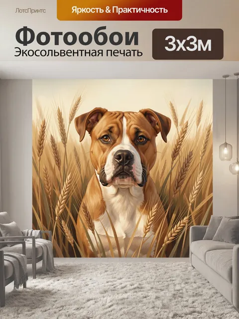Фотообои Собака среди золотых колосьев
