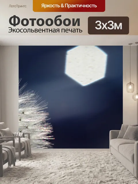 Фотообои Одуванчик