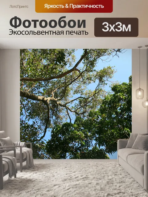 Фотообои сильные ветви большого дерева