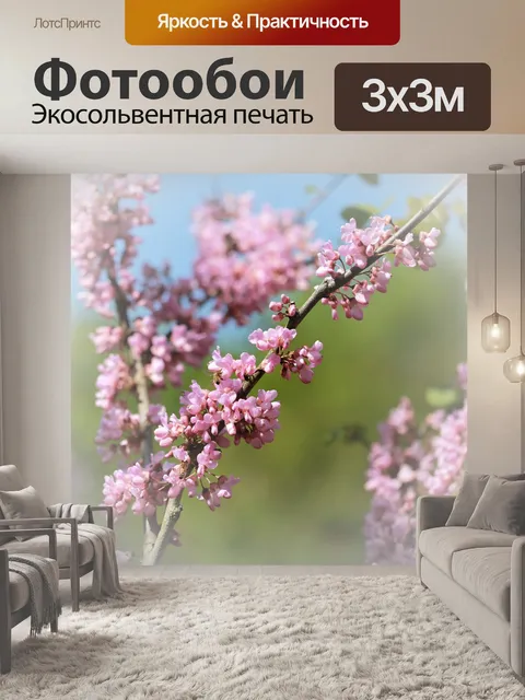 Фотообои Вишни в цвету