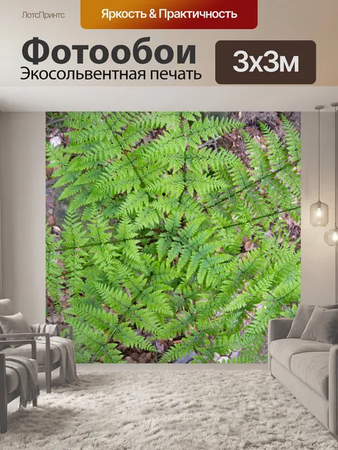 Фотообои папоротник