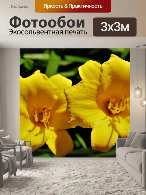 Фотообои Цветы