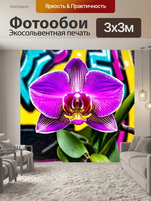 Фотообои орхидея, ярко окрашенная, на фоне яркого граффити