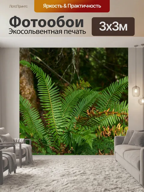Фотообои Папоротник