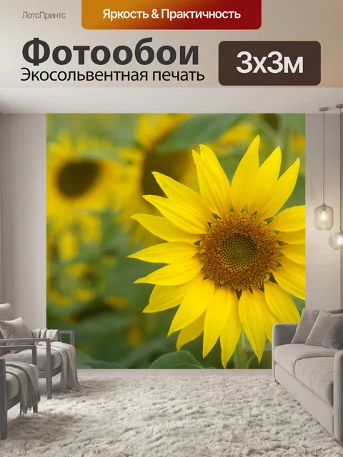 Фотообои Космос