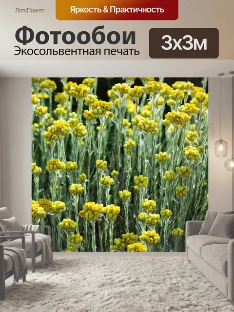 Фотообои Цветы