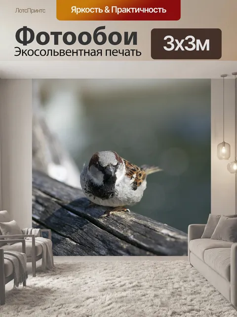 Фотообои Птица