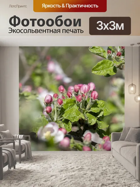 Фотообои Цветок