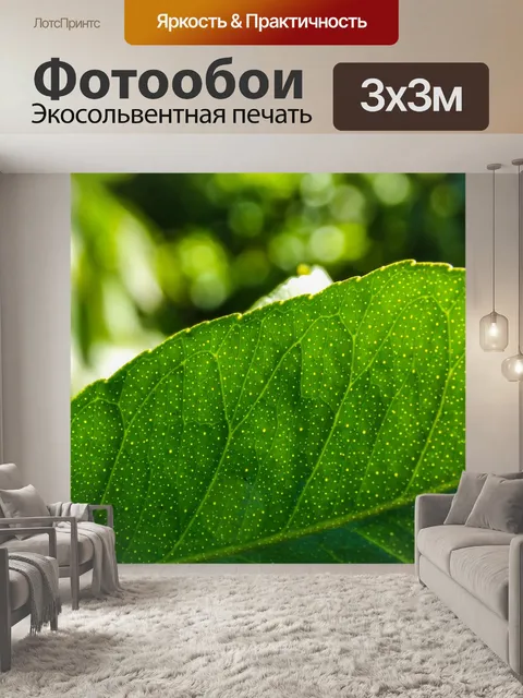 Фотообои Листья