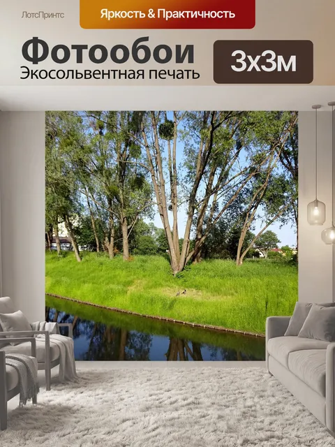 Фотообои Дерево