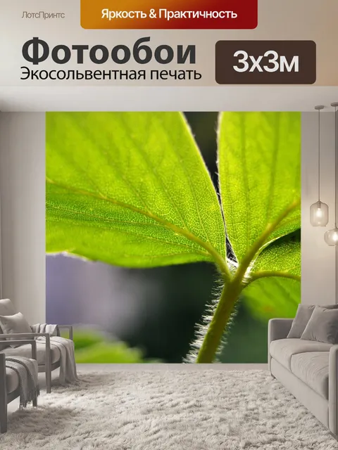 Фотообои Клубника