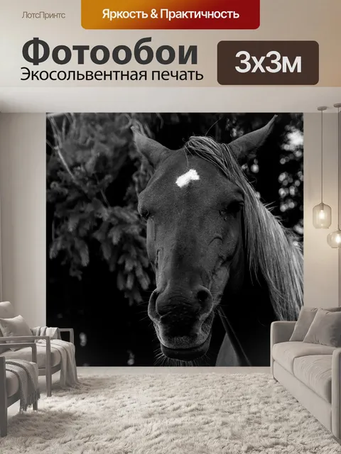 Фотообои Лошадь