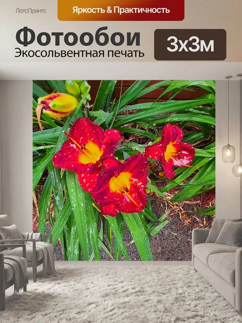 Фотообои Красные цветы лилии