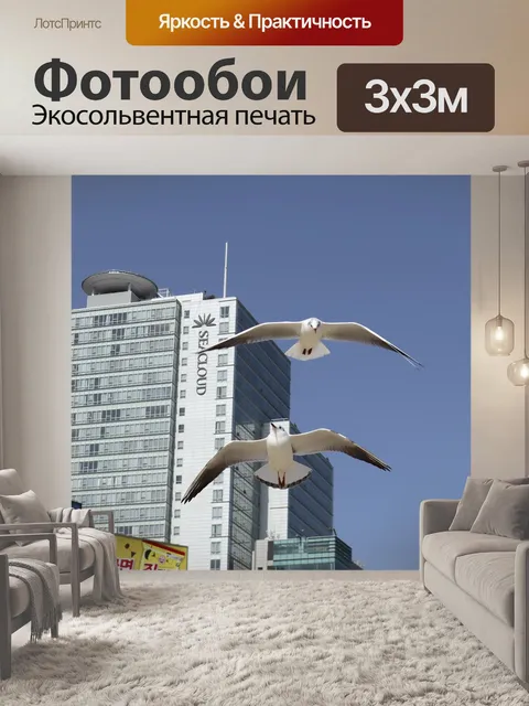 Фотообои Чайки