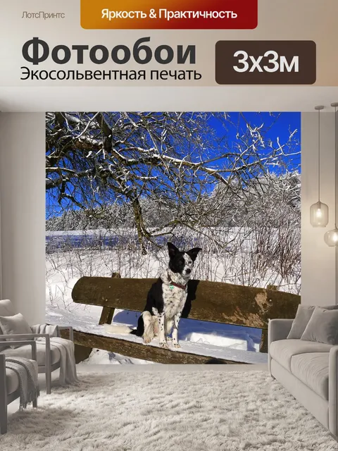 Фотообои Зима