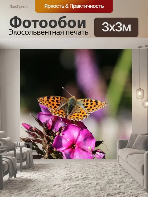Фотообои Бабочка