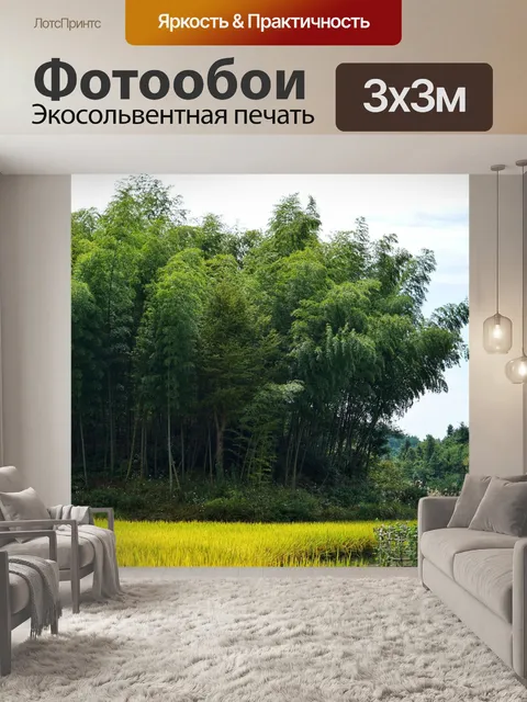 Фотообои Деревья бамбука