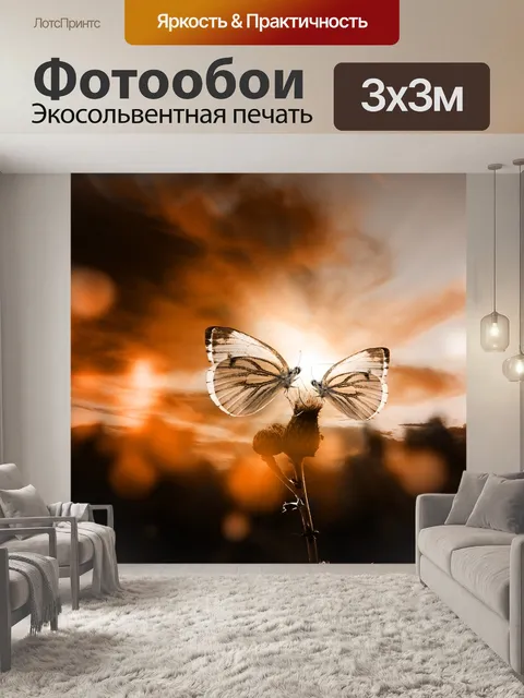 Фотообои Бабочка