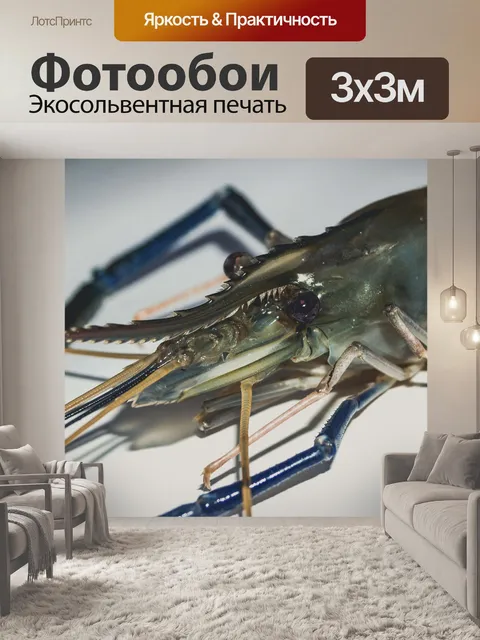 Фотообои Свежие приготовленные креветки фон мореп