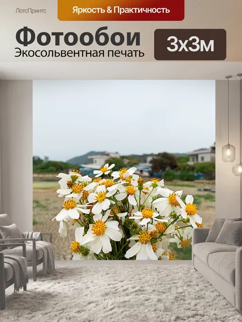 Фотообои Маргаритка
