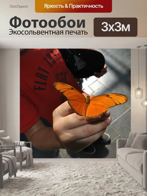 Фотообои Бабочка