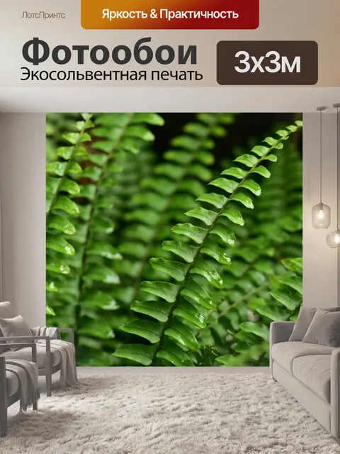 Фотообои Папоротник