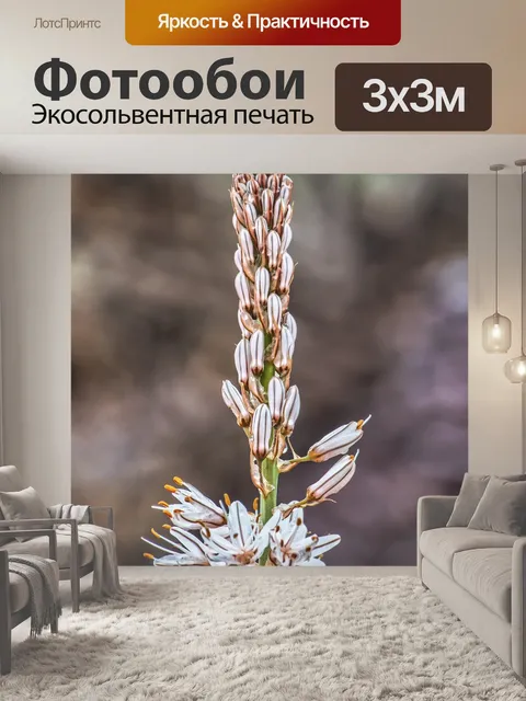 Фотообои Цветы