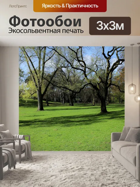 Фотообои Парк с деревьями